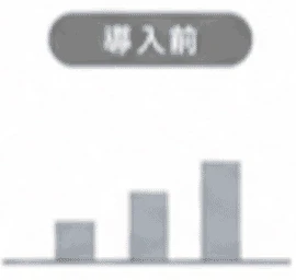導入前